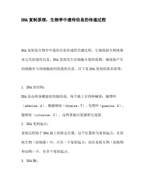 DNA复制原理：生物学中遗传信息的传递过程