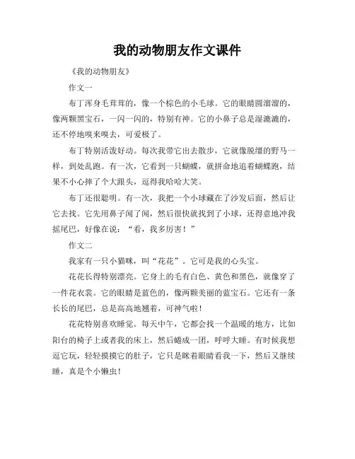 我的动物朋友作文课件