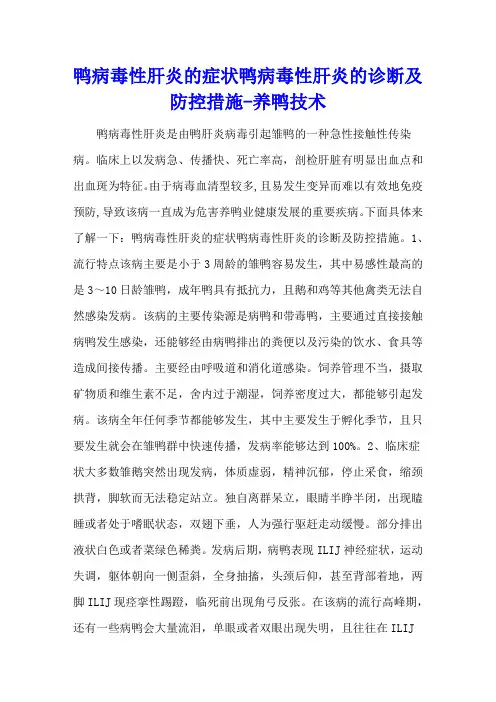 鸭病毒性肝炎的症状 鸭病毒性肝炎的诊断及防控措施 - 养鸭技术
