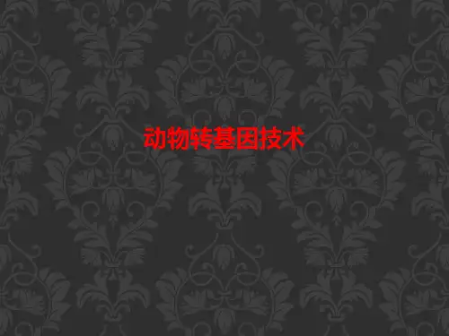 [课件]动物转基因技术PPT