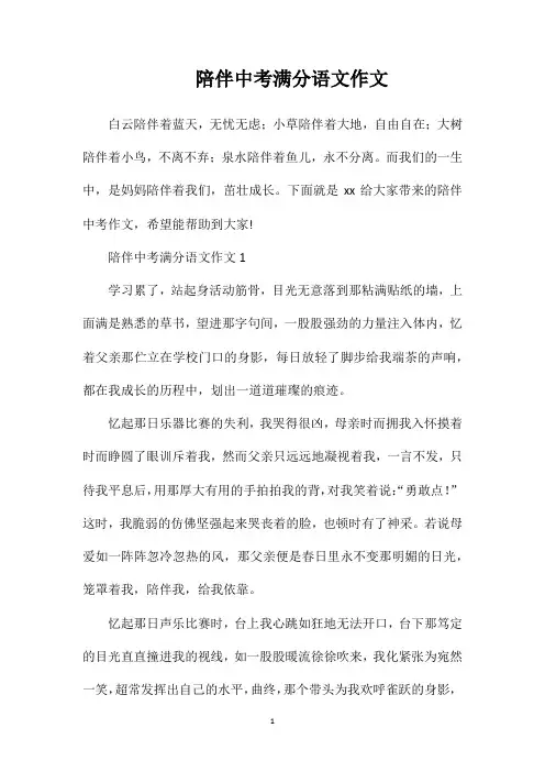 陪伴中考满分语文作文