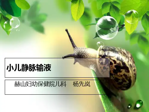 小儿静脉输液_【PPT课件】