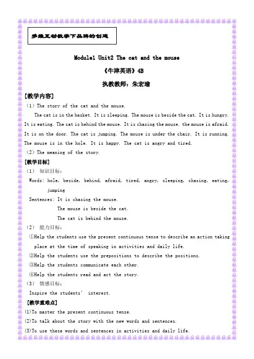 猫和老鼠