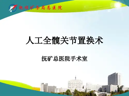 人工全髋关节置换术