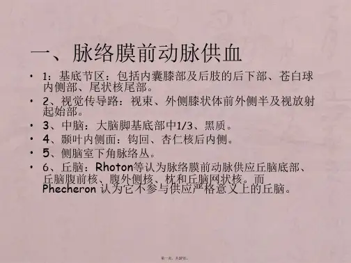 脑动脉各支供血区分布