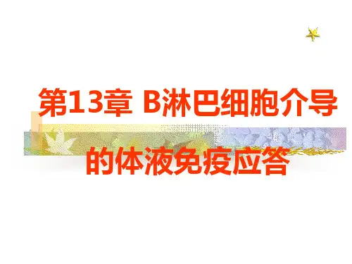 医学免疫学13章体液免疫应答精品PPT课件