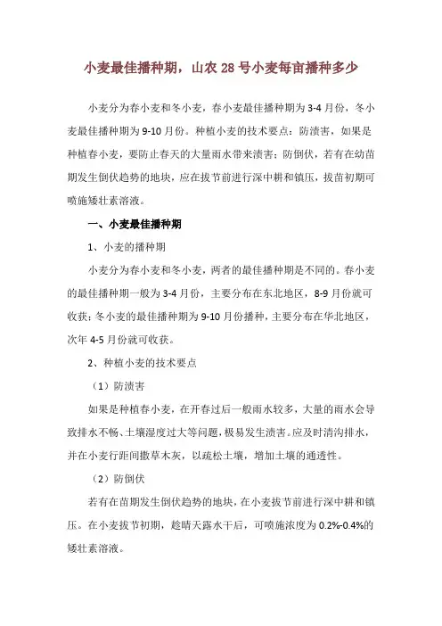 小麦最佳播种期,山农28号小麦每亩播种多少
