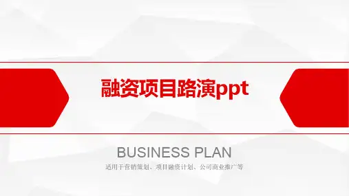 融资项目路演ppt