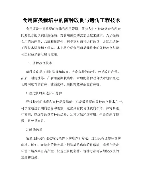 食用菌类栽培中的菌种改良与遗传工程技术
