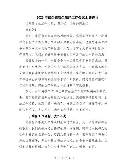 2023年在全镇安全生产工作会议上的讲话