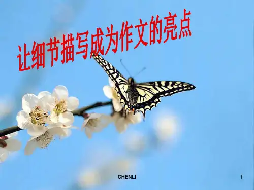 作文中的细节描写PPT课件