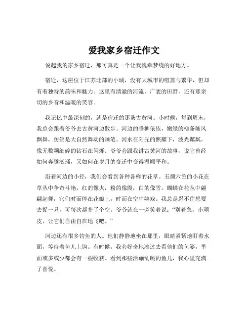 爱我家乡宿迁作文