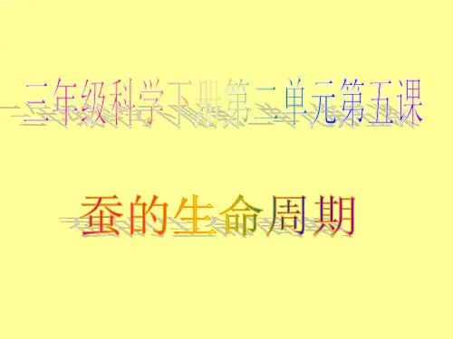 第二单元：《5.蚕的生命周期》PPT课件