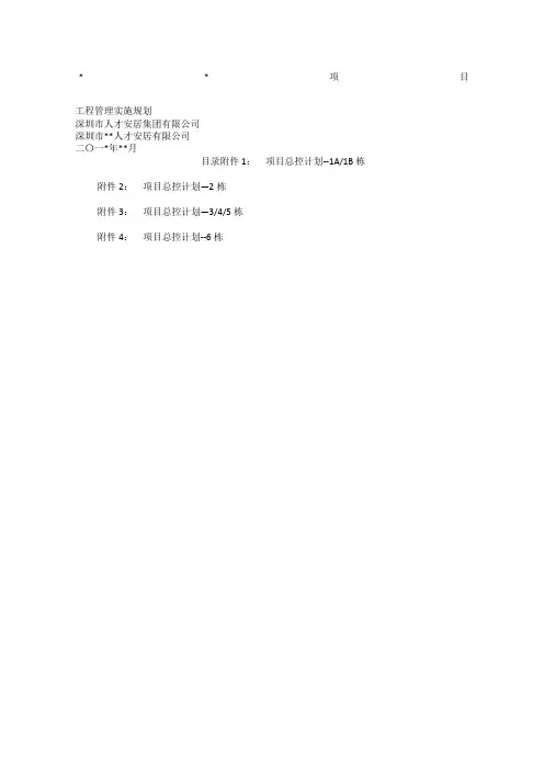 项目工程管理实施规划范本