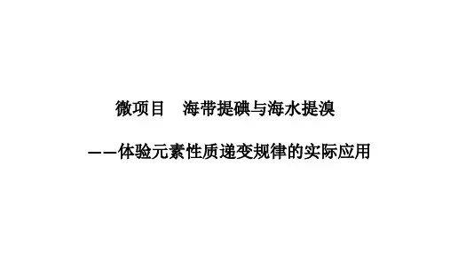 微项目海带提碘与海水提溴课件-【新教材】2020-2021学年高一化学鲁科版（2019）必修第二册