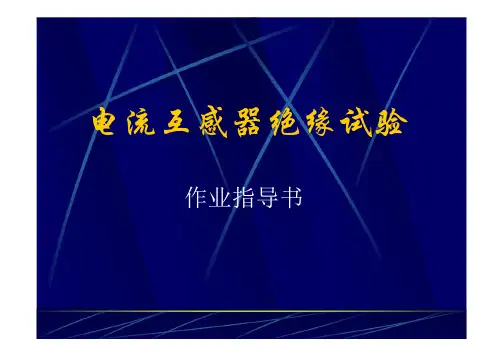电流互感器绝缘试验.