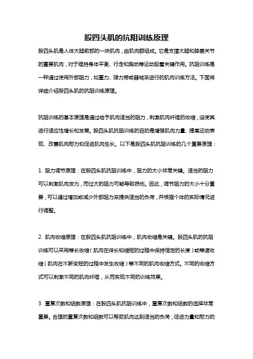 股四头肌的抗阻训练原理