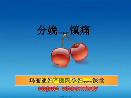 202X年无痛分娩幻灯片