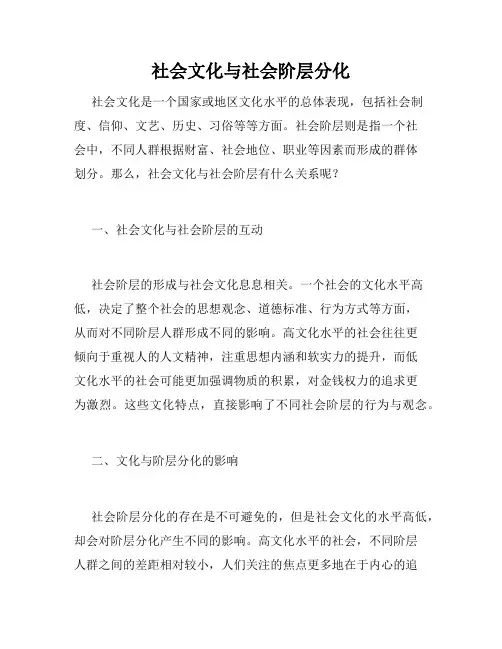 社会文化与社会阶层分化