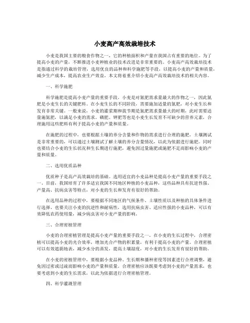 小麦高产高效栽培技术