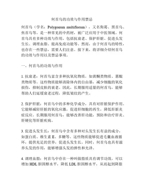 何首乌的功效与作用禁忌