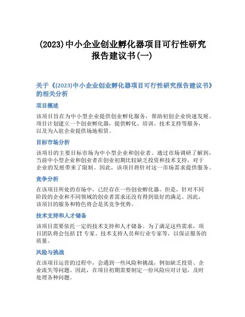(2023)中小企业创业孵化器项目可行性研究报告建议书(一)