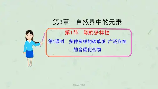 《碳的多样性》课件
