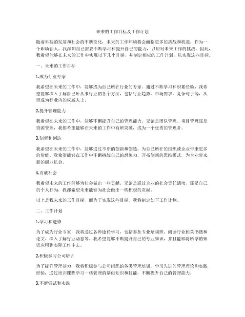 未来的工作目标及工作计划