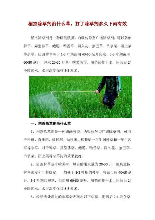 稻杰除草剂治什么草,打了除草剂多久下雨有效