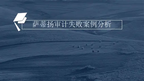 萨蒂扬审计案例分析最终版全解