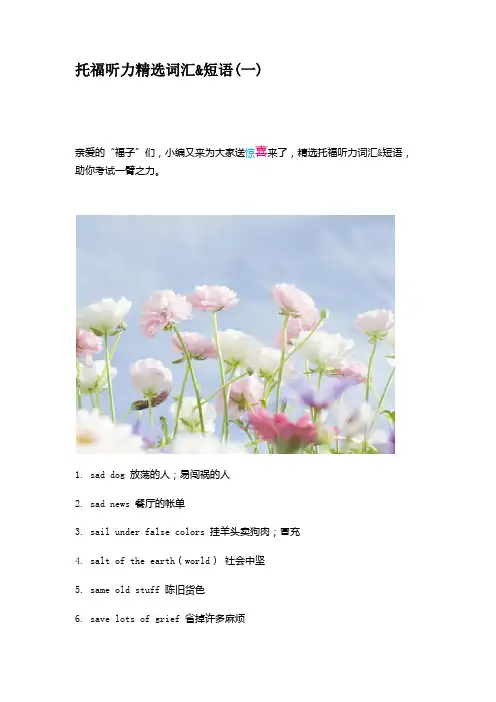 托福听力精选词汇&短语(一)