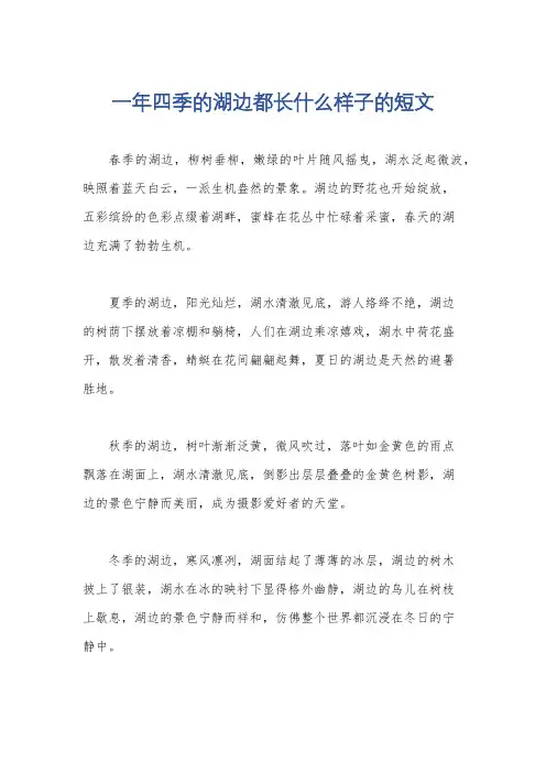 一年四季的湖边都长什么样子的短文