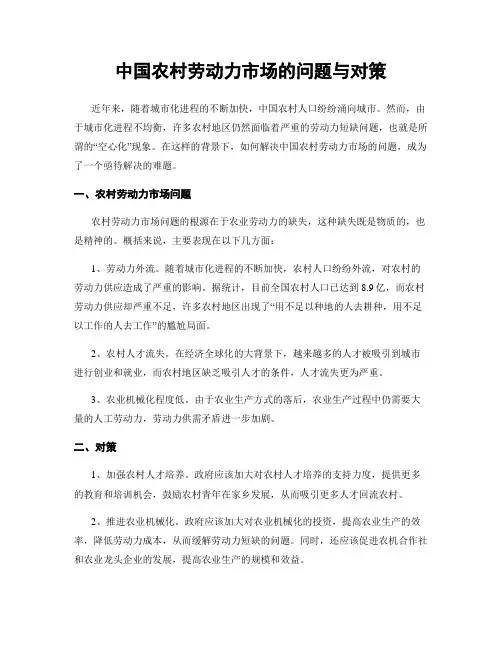 中国农村劳动力市场的问题与对策