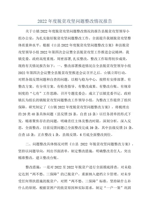 2022年度脱贫攻坚问题整改情况报告