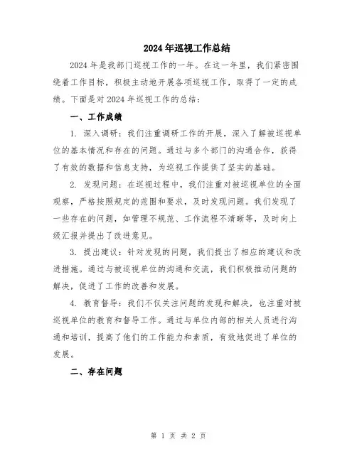 2024年巡视工作总结