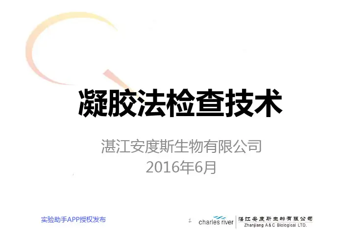 凝胶法检查技术