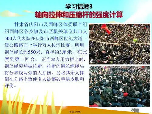 3-轴向拉伸和压缩杆的强度计算