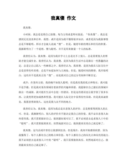 我真傻 作文