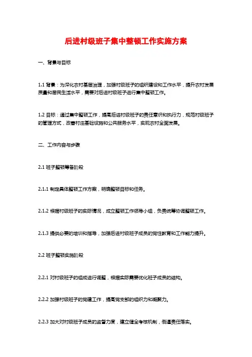 后进村级班子集中整顿工作实施方案