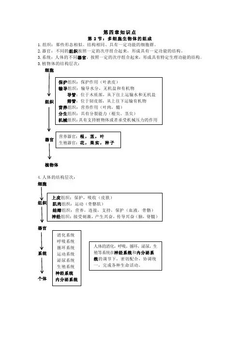 苏教版生物七上第四章知识点