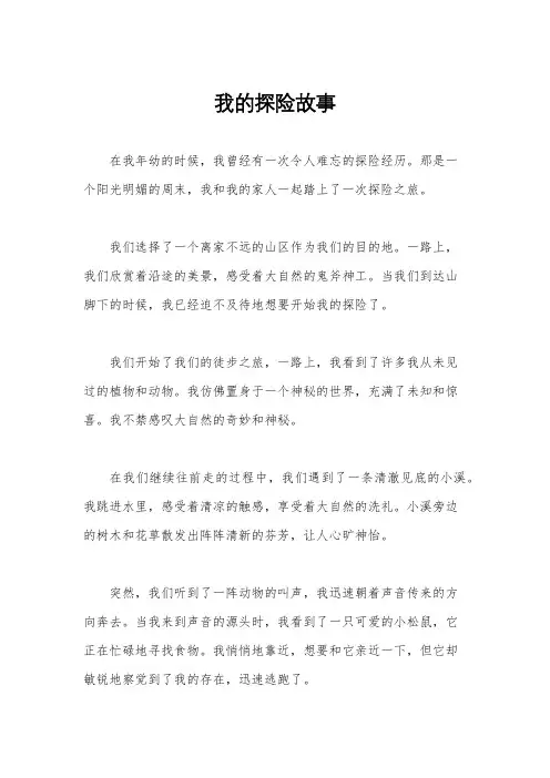 我的探险故事