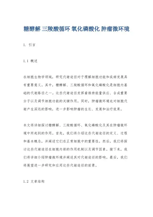 糖酵解 三羧酸循环 氧化磷酸化 肿瘤微环境