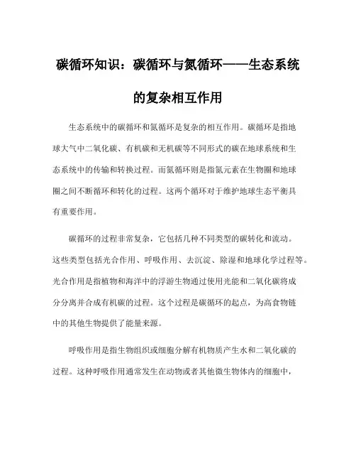 碳循环知识：碳循环与氮循环——生态系统的复杂相互作用