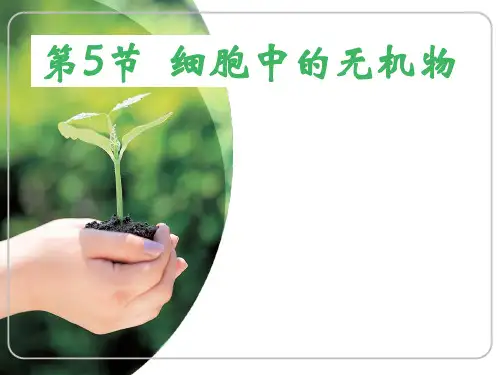 (人教必修一) 2.5 细胞中的无机物  课件