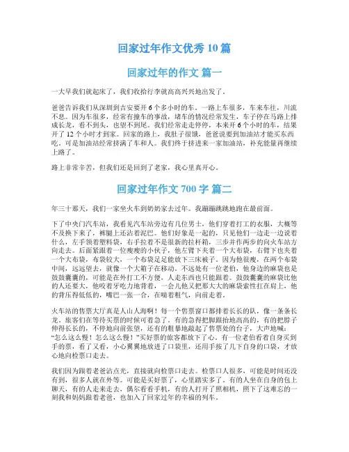 回家过年作文优秀10篇