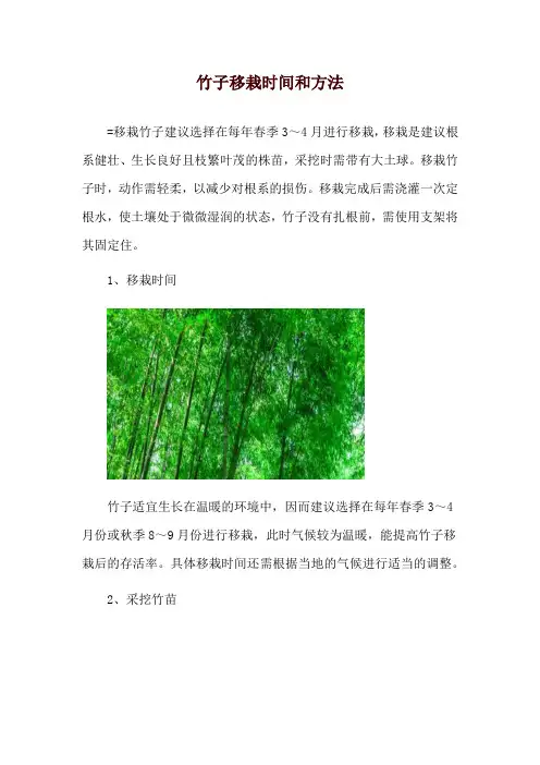 竹子移栽时间和方法