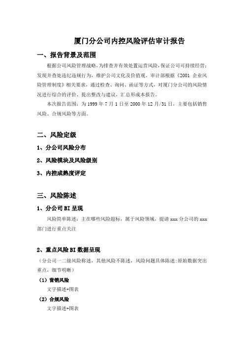 分公司内控风险评估审计报告模板