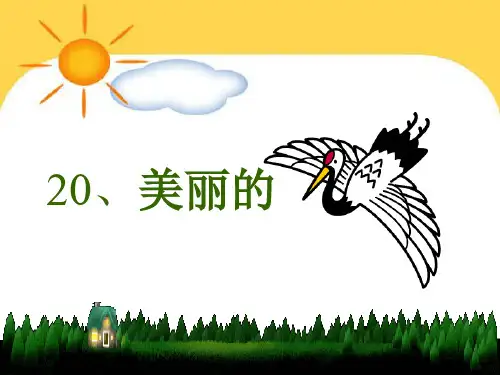 20《美丽的丹顶鹤》ppt课件6