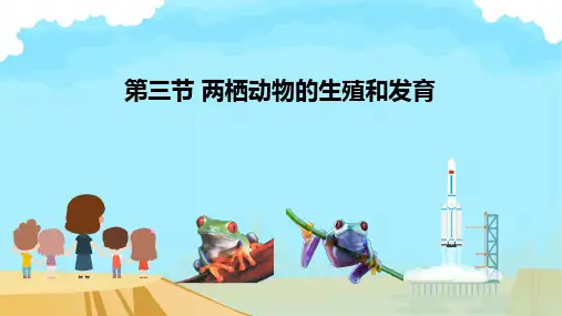 两栖动物的生殖和发育ppt课件