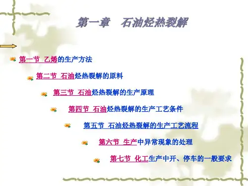 有机化工生产技术--石油烃热裂解(ppt 75页)